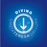 Diving Logo